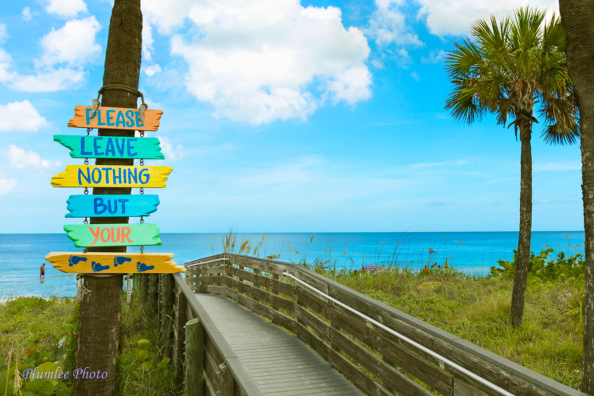How & Where to Find Florida Gulf Coast Shells - Plumlee Gulf Beach Realty