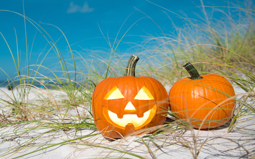 Fall Festivals In Florida Pinellas County Plumlee Gulf Beach Realty